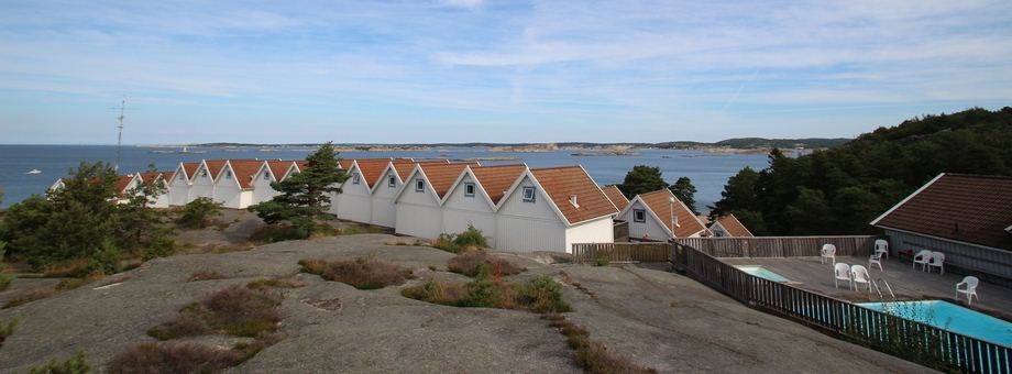 Milsvid utsikt över havet