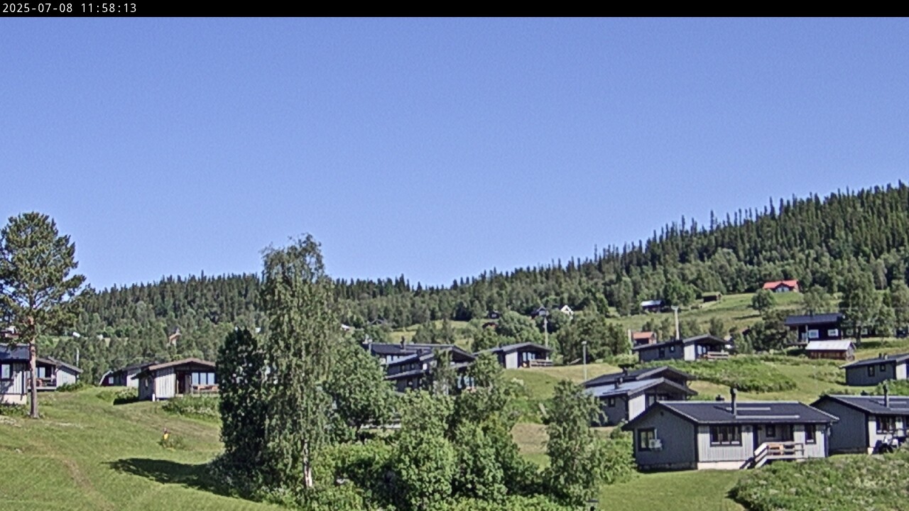 En oas uppe på fjället