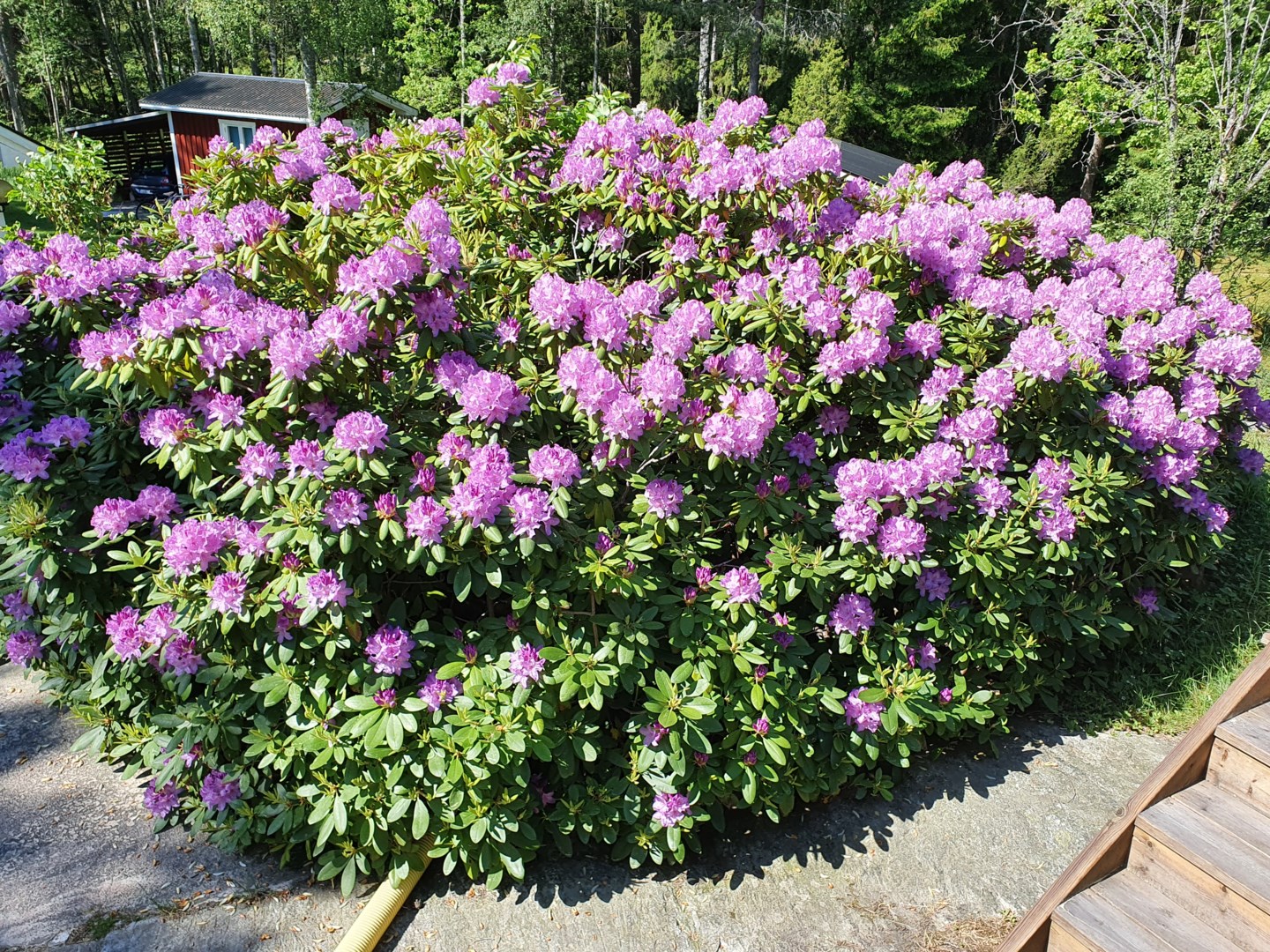 Bostadsbild från Barnviksslingan 41, Såld i Stavsnäs, Värmdö
