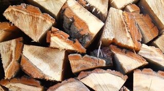 Stjärnor tindrar, veden sjunger