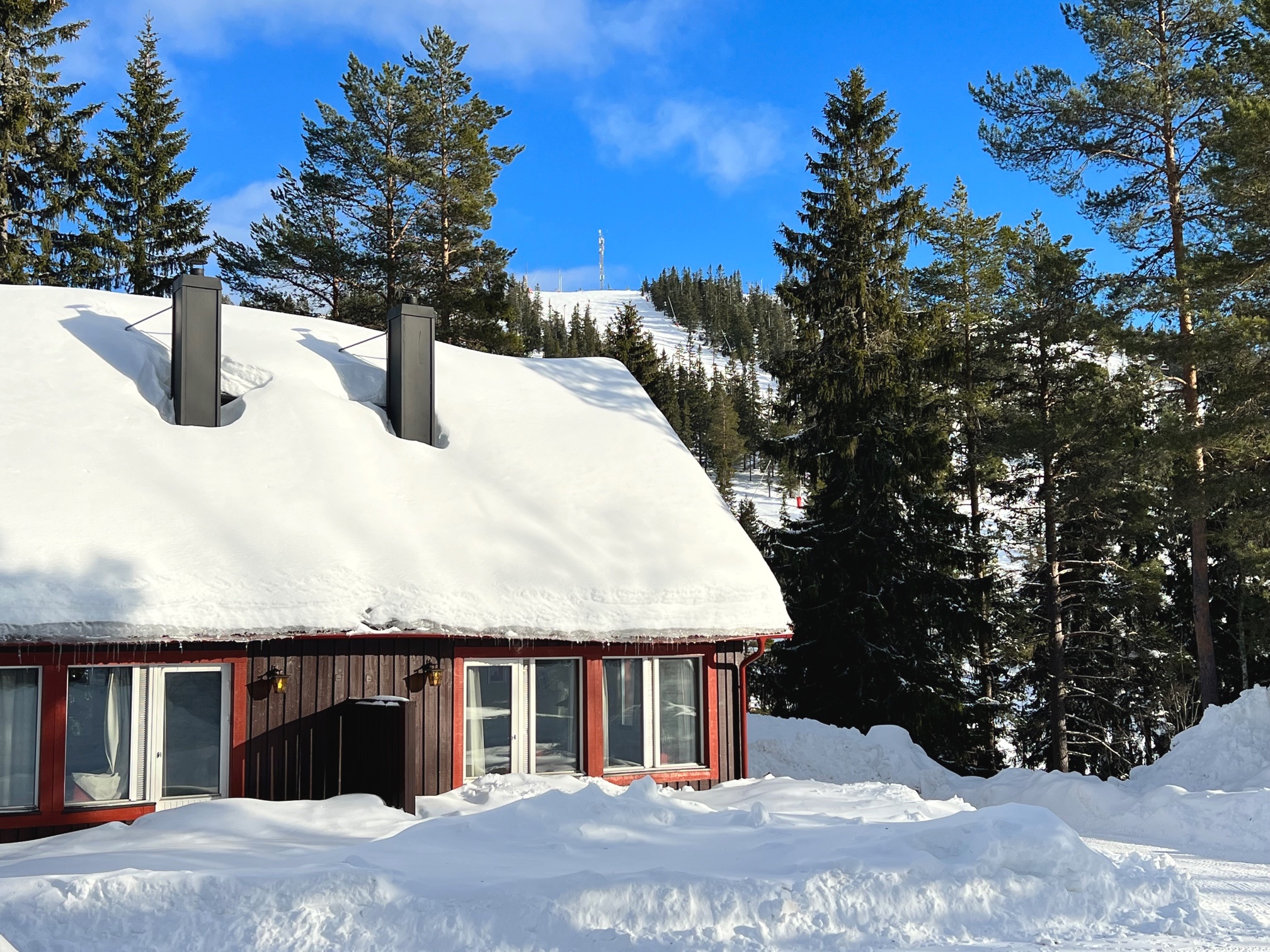 En oas uppe på fjället, ett riktigt smultronställe