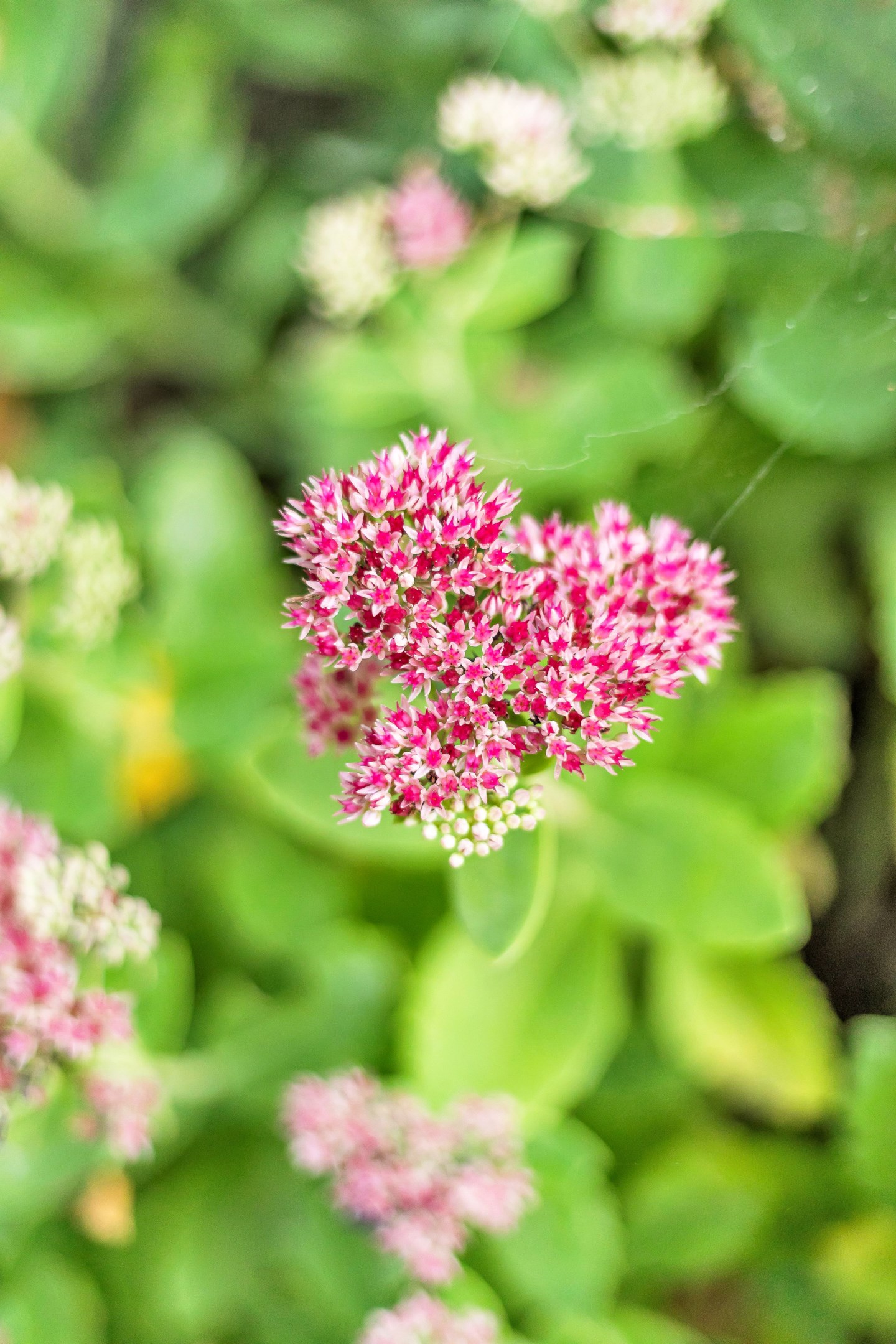 Bostadsbild från Onsike 63, Såld i Vänge, Uppsala