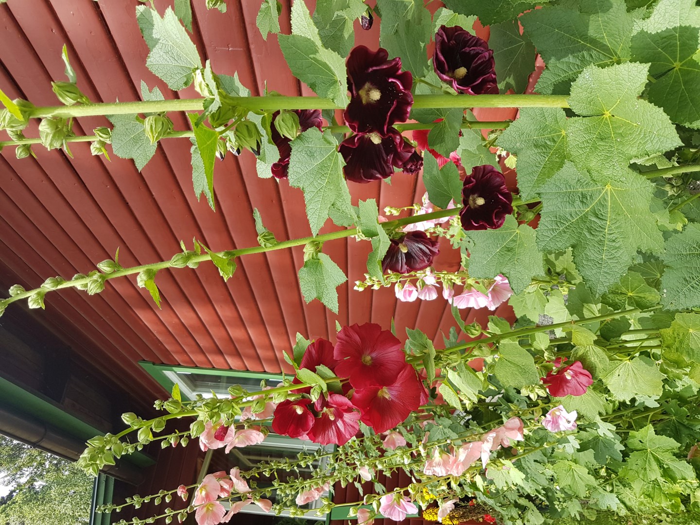 Bostadsbild från Onsike 63, Såld i Vänge, Uppsala