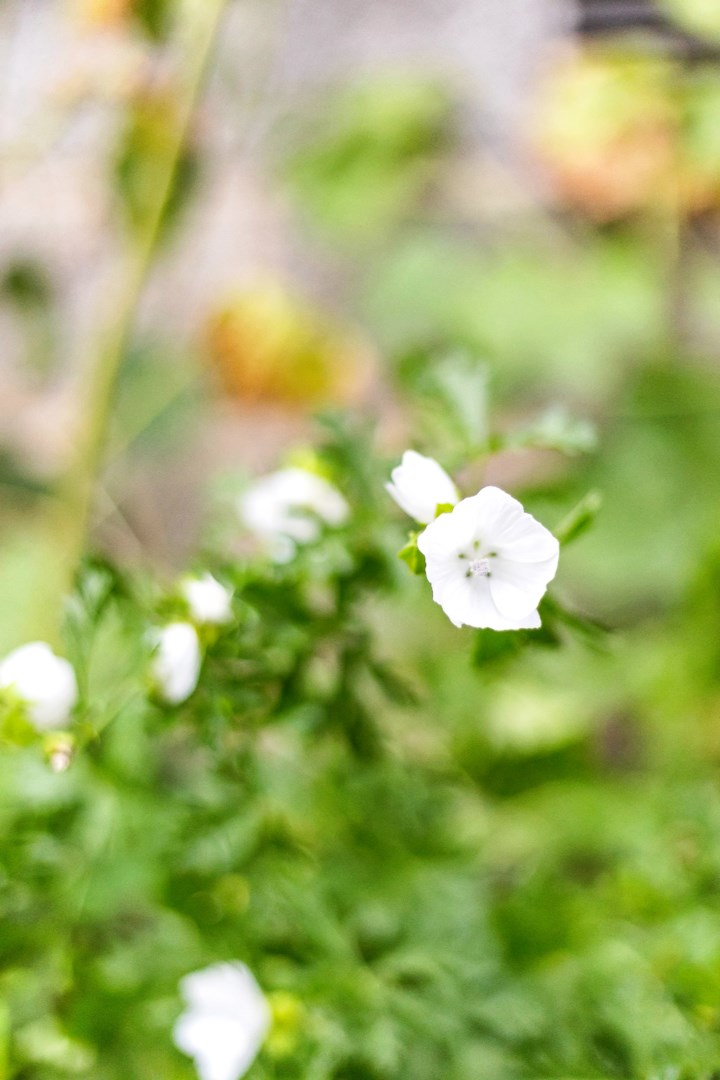 Bostadsbild från Onsike 63, Såld i Vänge, Uppsala