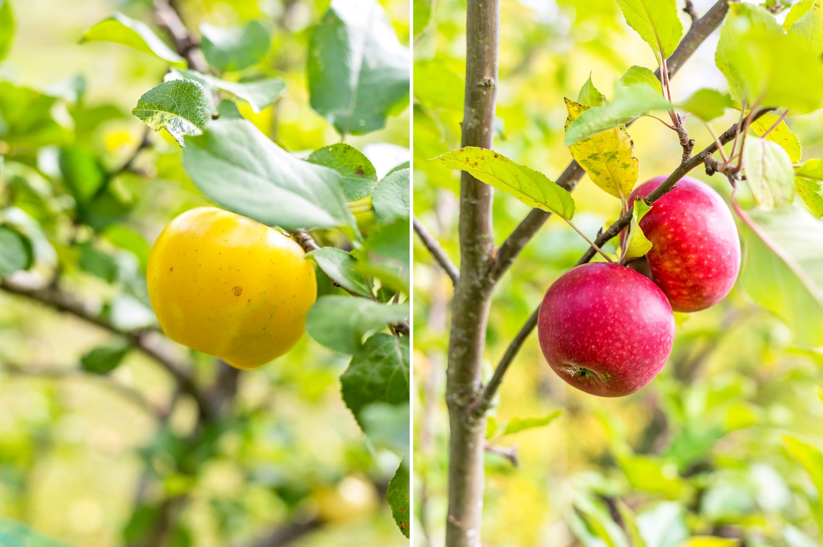 Bostadsbild från Onsike 63, Såld i Vänge, Uppsala