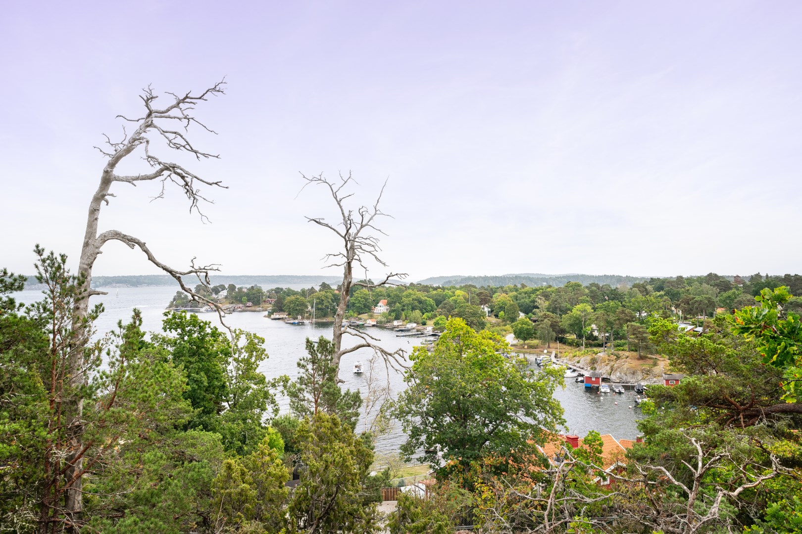Utsikt mot sydost från tomten nedanför altanen.