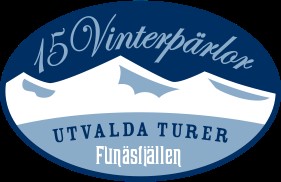 15 Vintgerpärlor