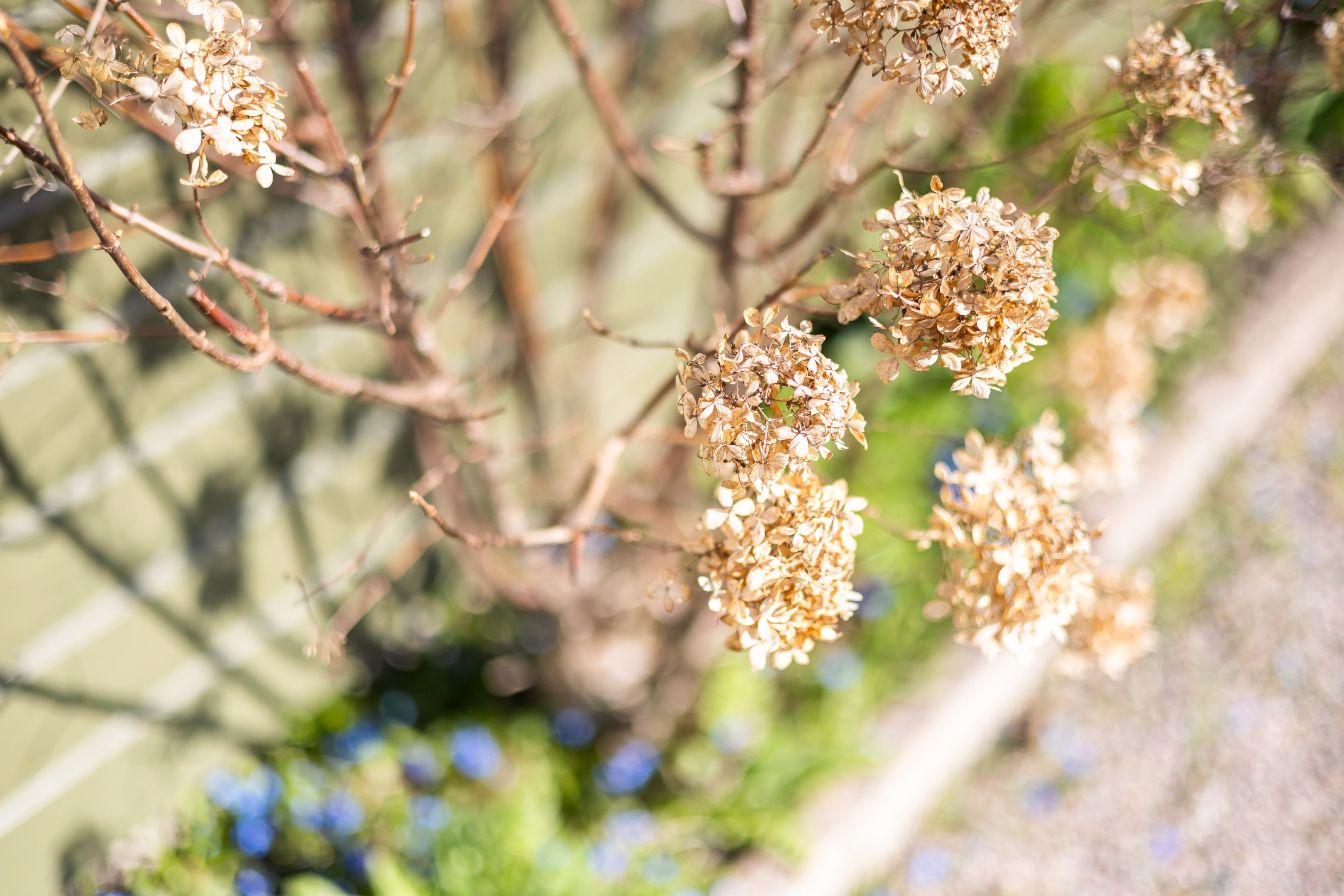 Bostadsbild från Tulpanvägen 39, Såld i Tunabackar, Uppsala