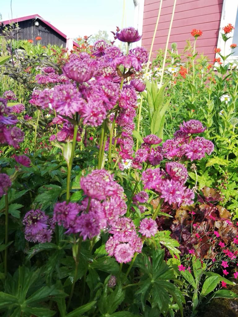 Bostadsbild från Tulpanvägen 39, Såld i Tunabackar, Uppsala