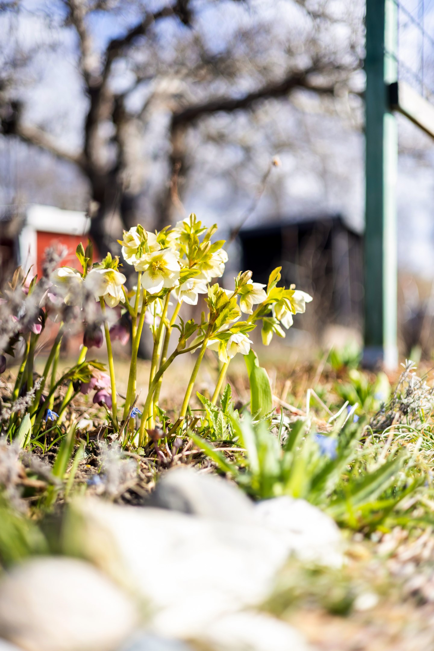 Bostadsbild från Tulpanvägen 39, Såld i Tunabackar, Uppsala