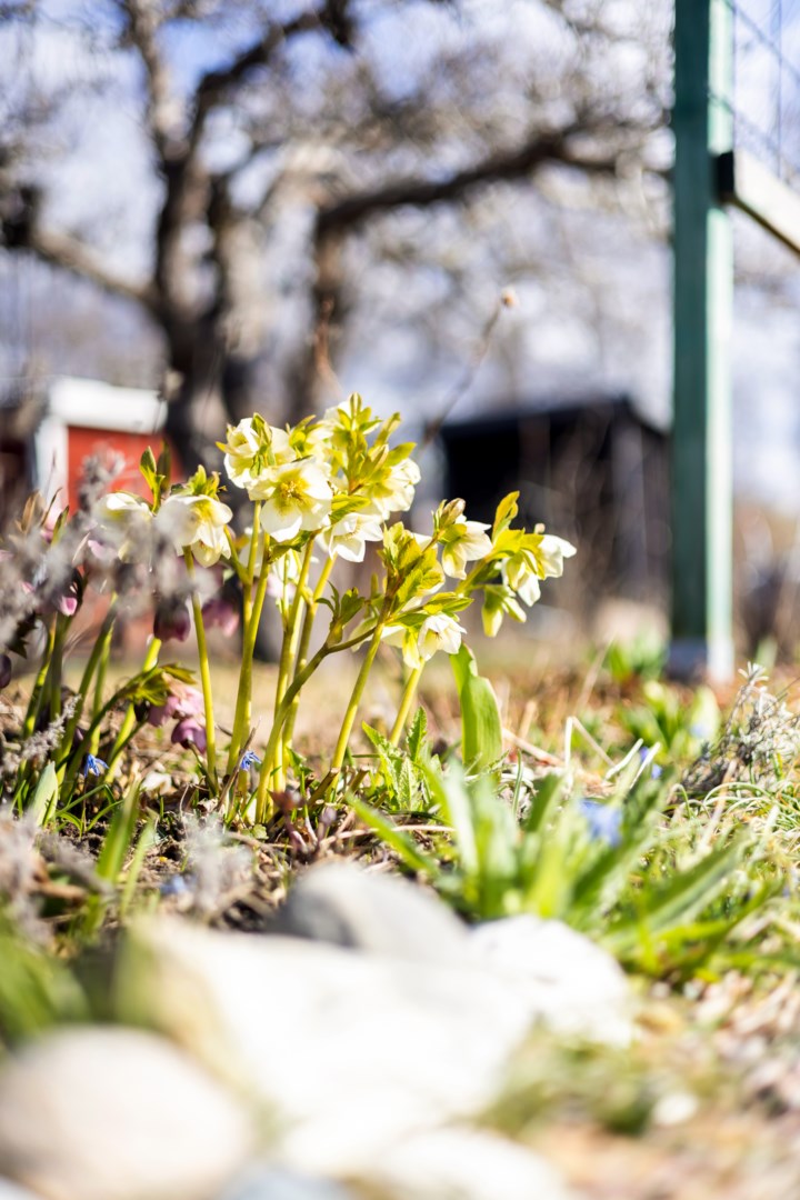 Bostadsbild från Tulpanvägen 39, Såld i Tunabackar, Uppsala