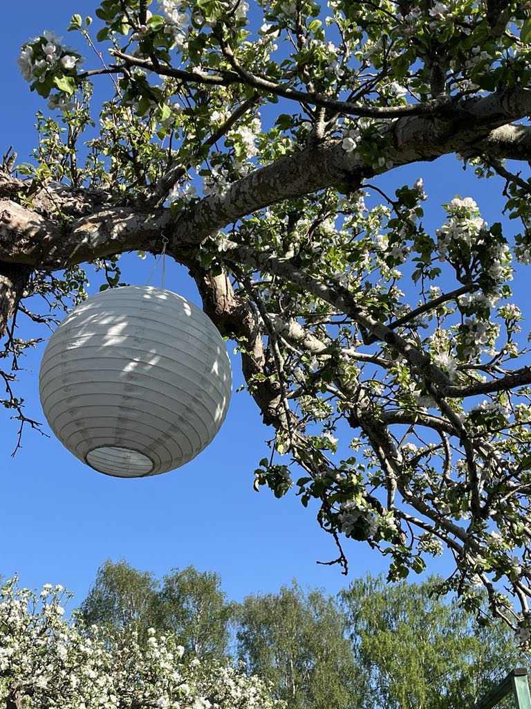 Bostadsbild från Tulpanvägen 39, Såld i Tunabackar, Uppsala