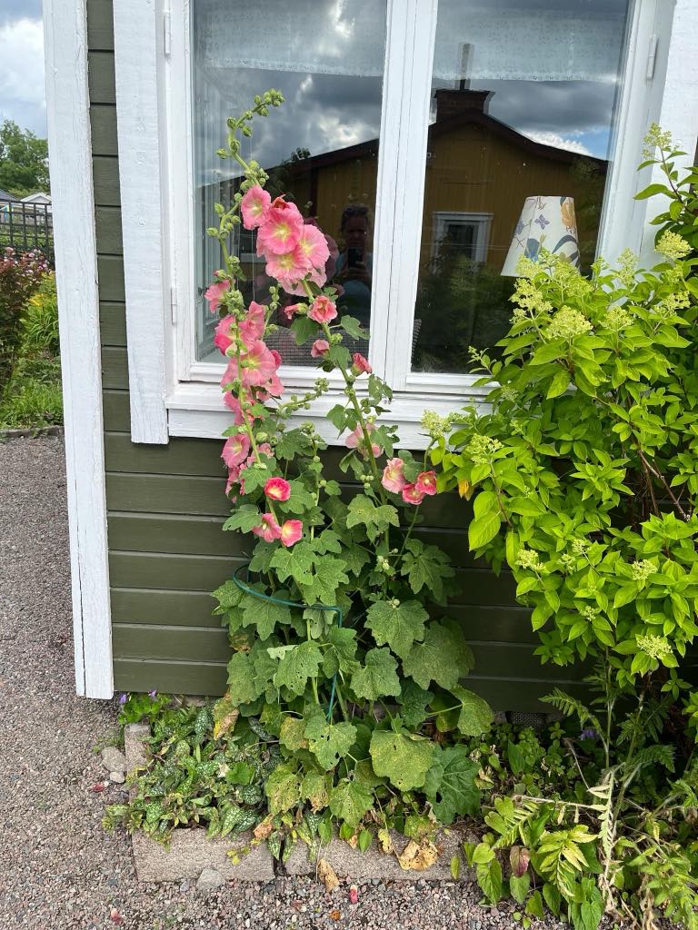 Bostadsbild från Tulpanvägen 39, Såld i Tunabackar, Uppsala