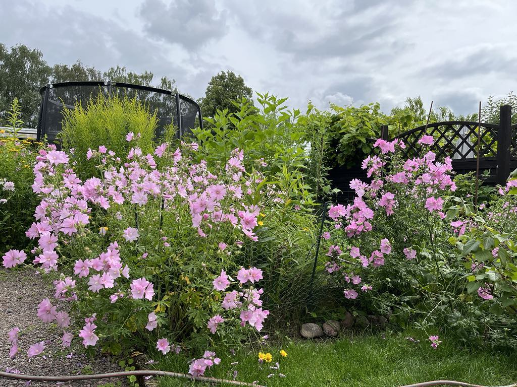 Bostadsbild från Tulpanvägen 39, Såld i Tunabackar, Uppsala