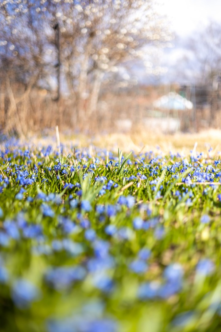 Bostadsbild från Tulpanvägen 39, Såld i Tunabackar, Uppsala