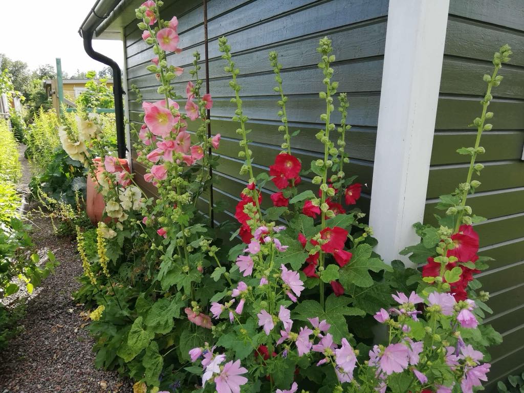 Bostadsbild från Tulpanvägen 39, Såld i Tunabackar, Uppsala