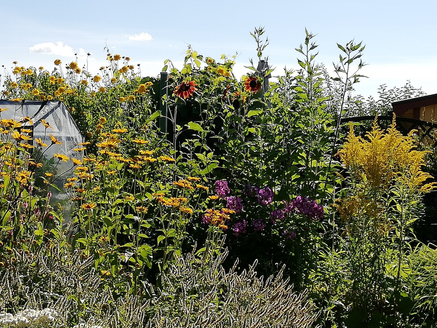 Bostadsbild från Tulpanvägen 39, Såld i Tunabackar, Uppsala