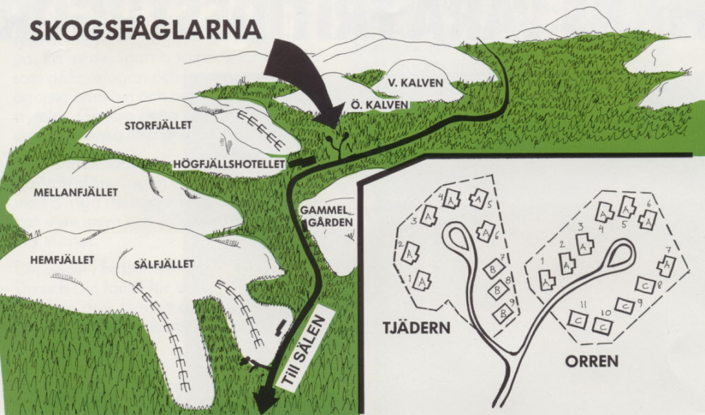 36. Karta/Skogsfåglarna