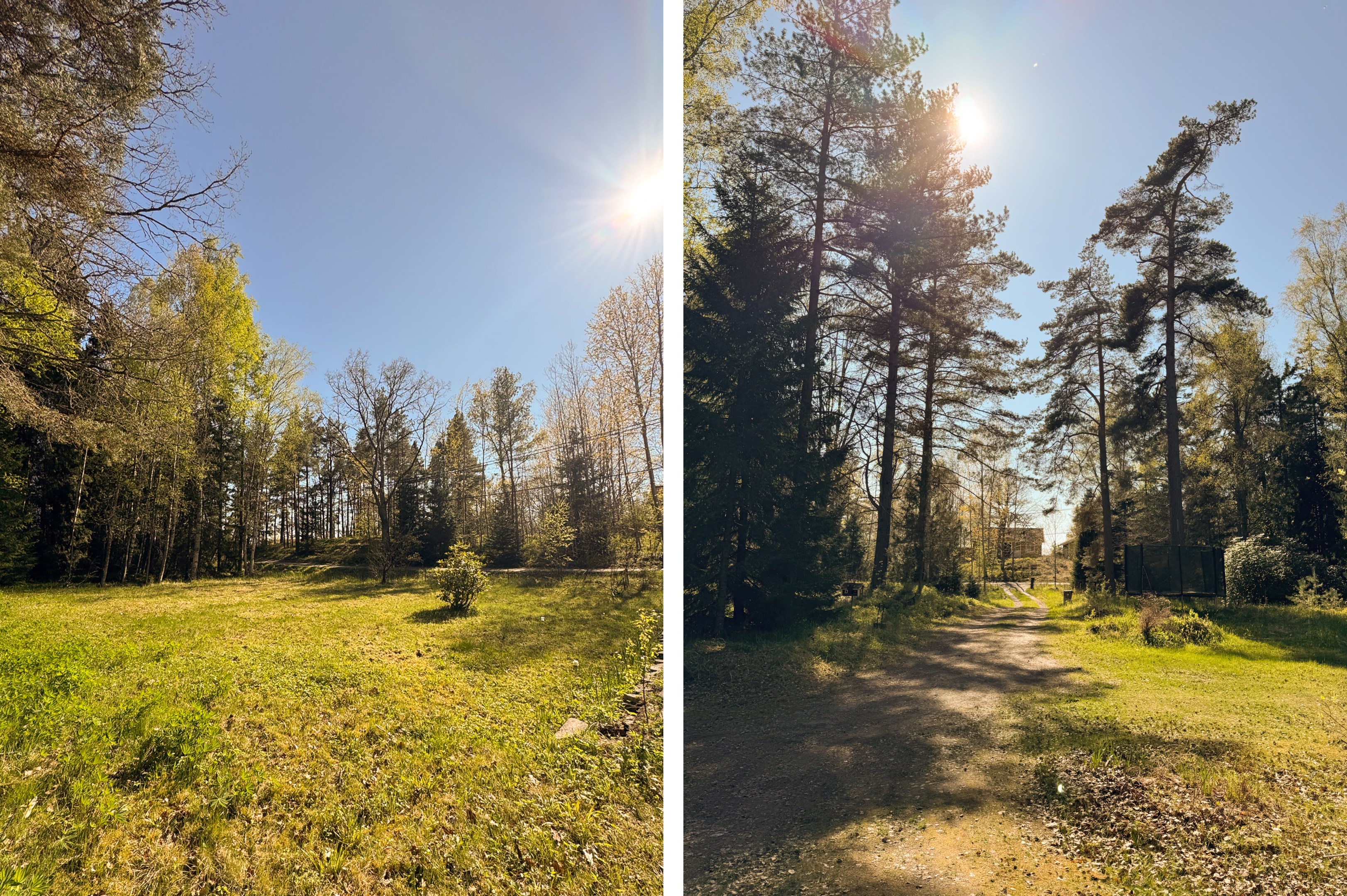 Säljarens sommarbilder.