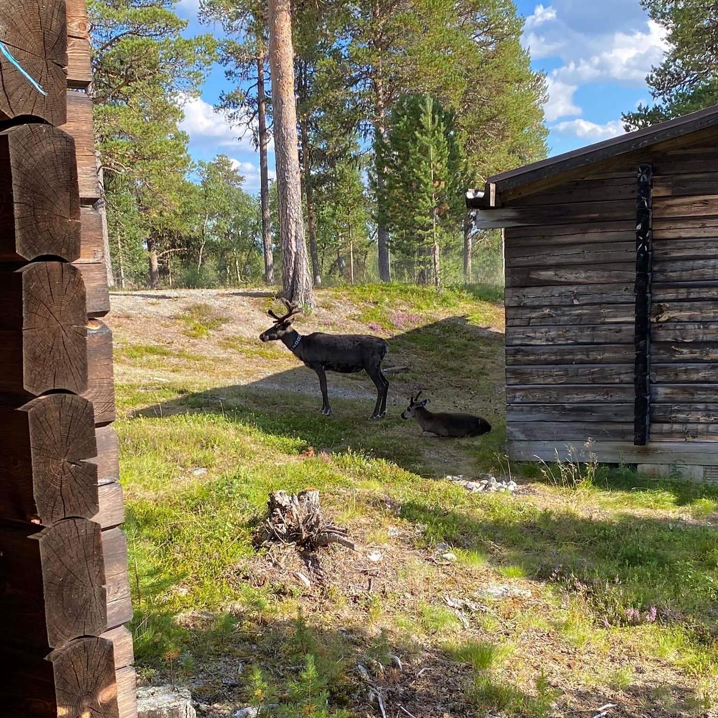 Sveriges sydligaste vildmark