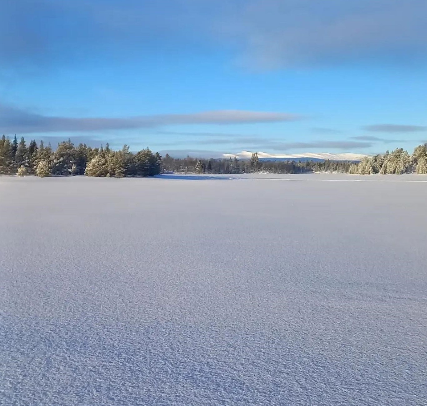Naturbild över sjön Vattnan vinter