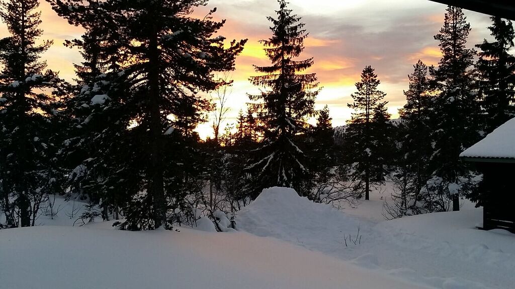 Bild 15 kva¦êllsbild