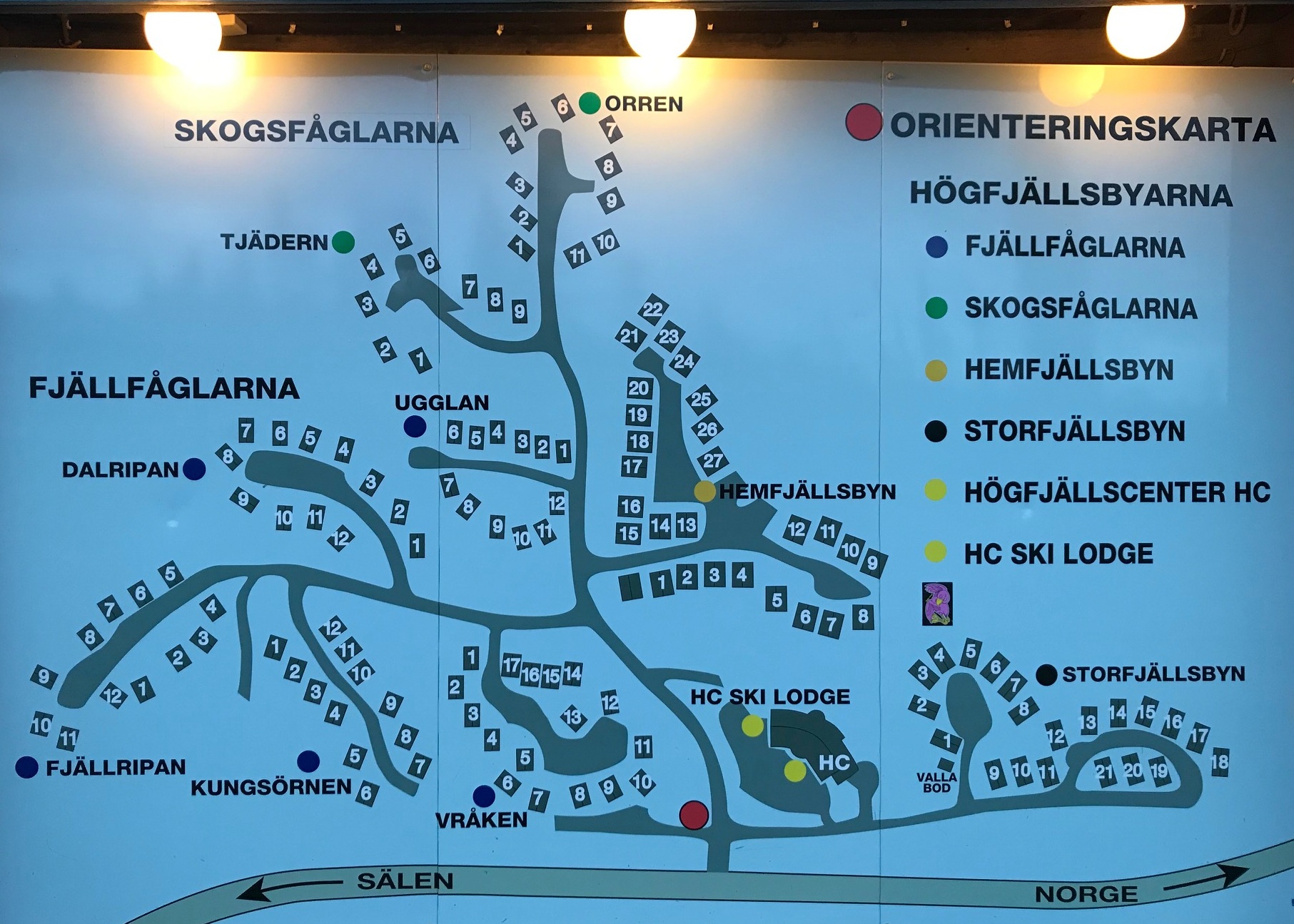 32. Karta Skogsfåglarna