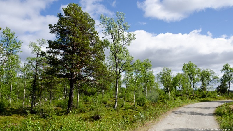 Fjällvattnet vägen till