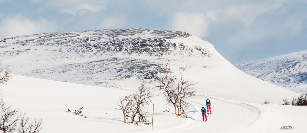 Längdskidåkning 300 km