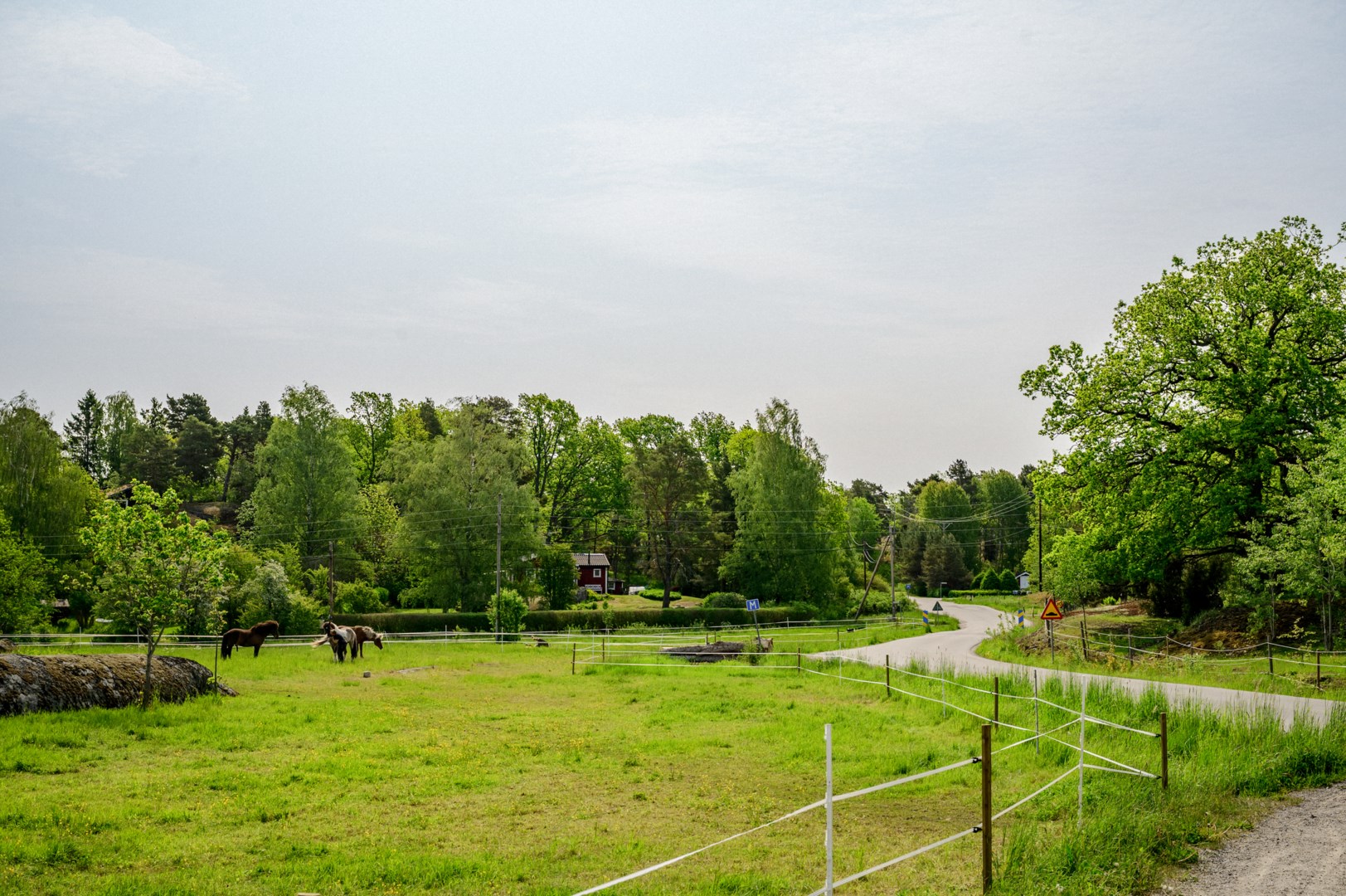 Gott om vackra promenadstråk i området.