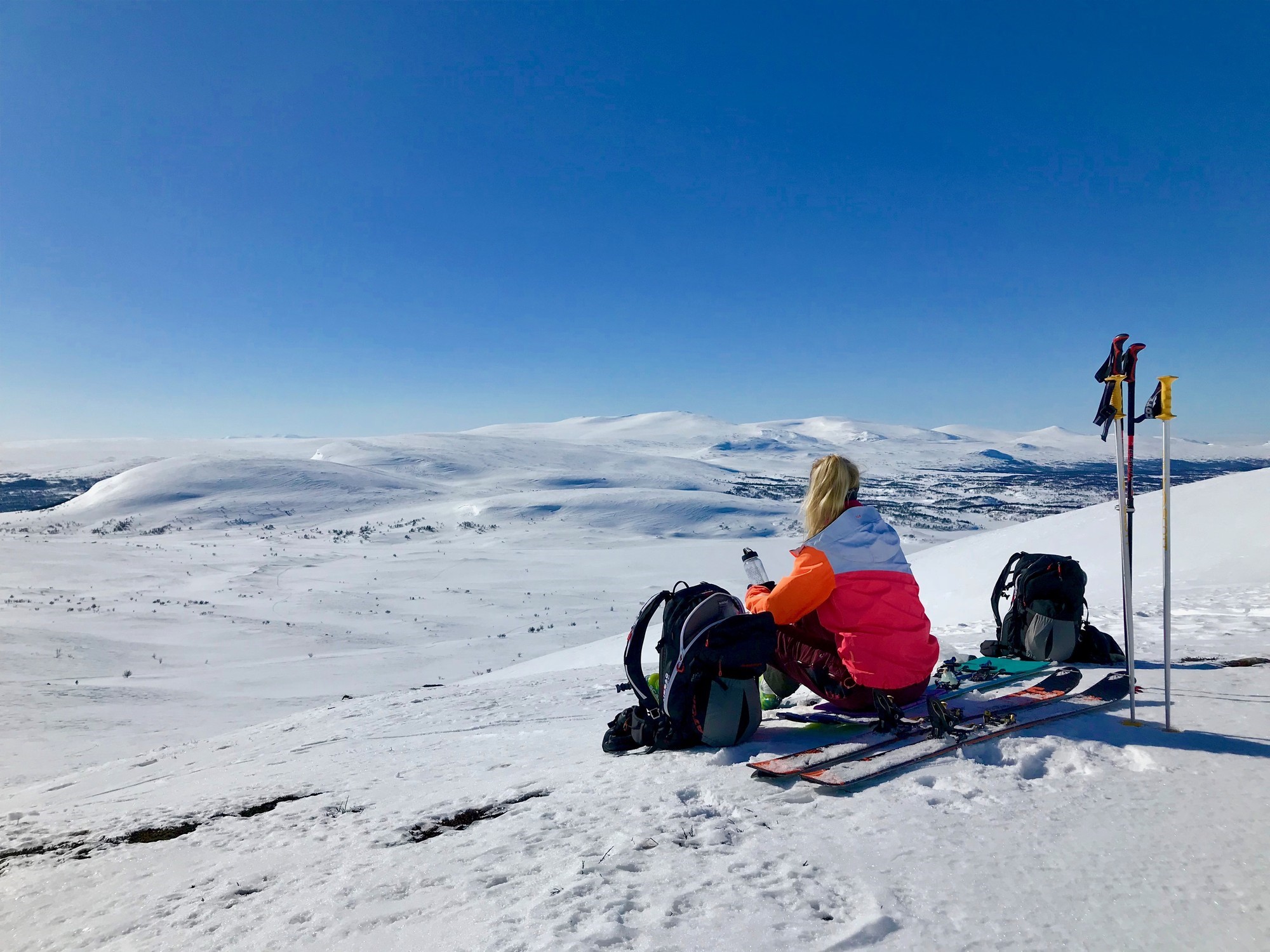 Vårvinter