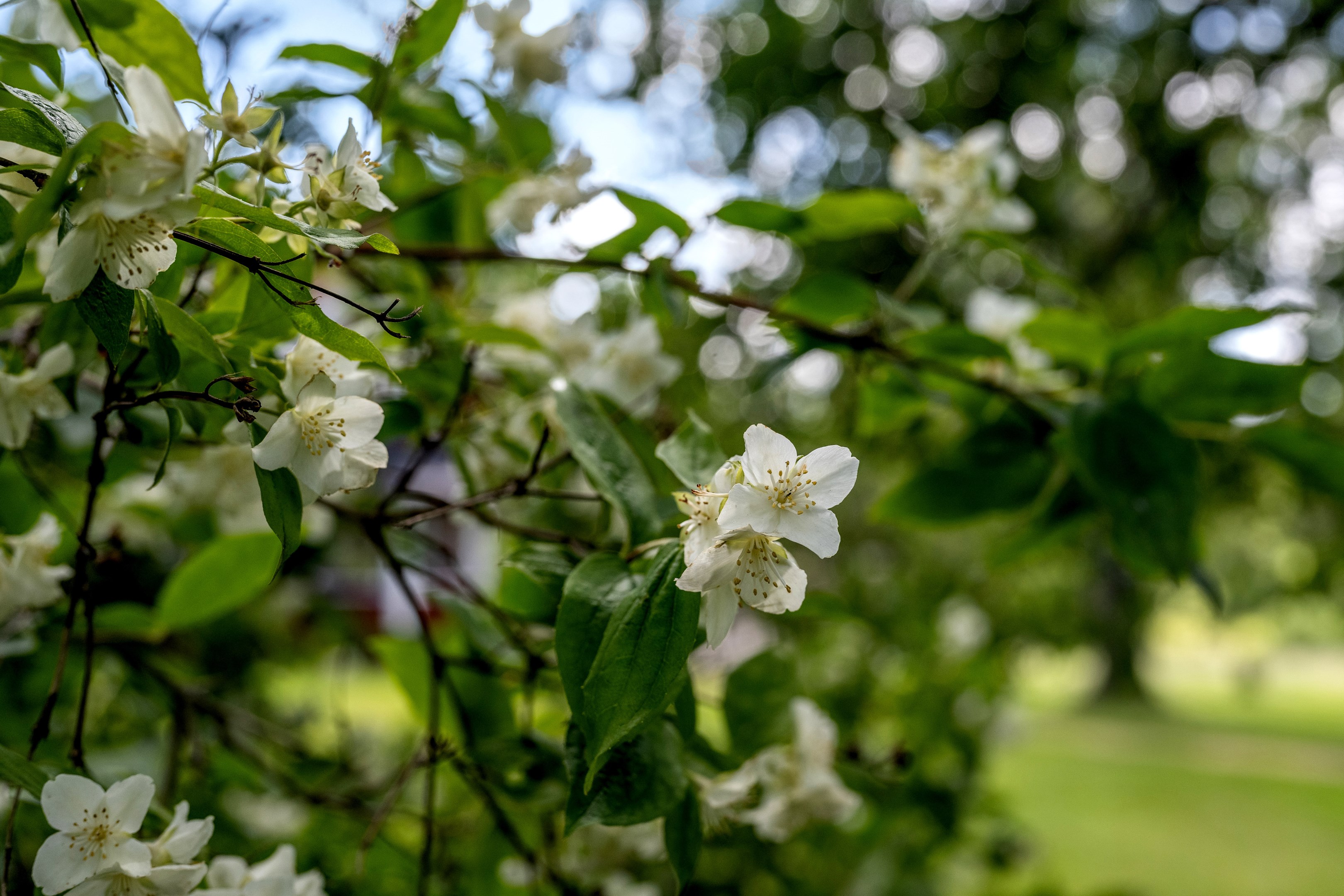 Bostadsbild från Faringe-Bärby 409, Såld i Almunge, Uppsala