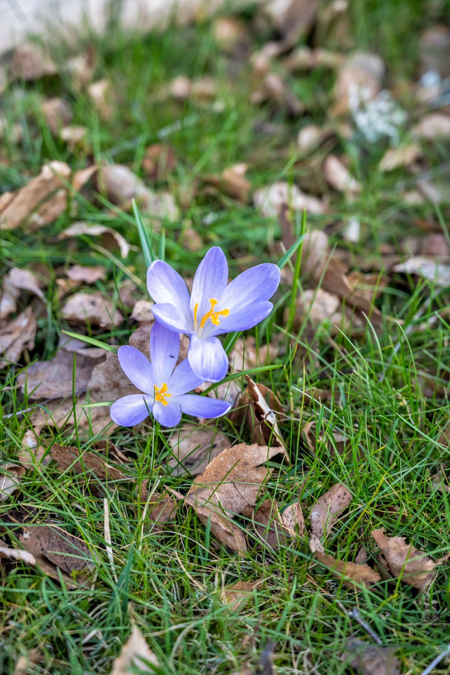Bostadsbild från Faringe-Bärby 409, Såld i Almunge, Uppsala
