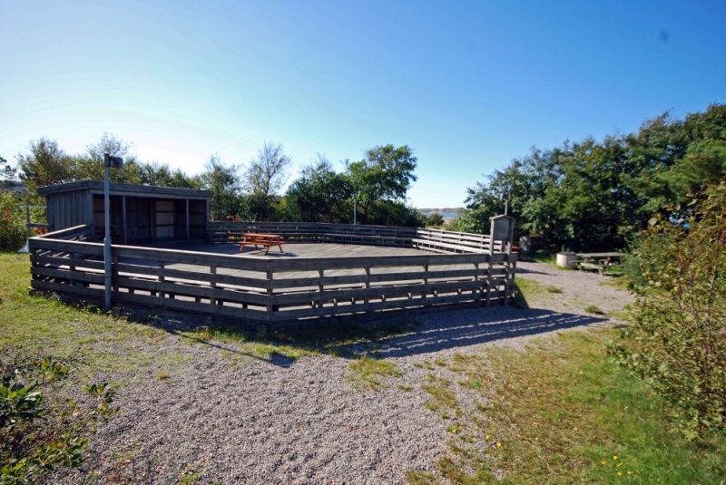 Dansbanan - morgongymnastik