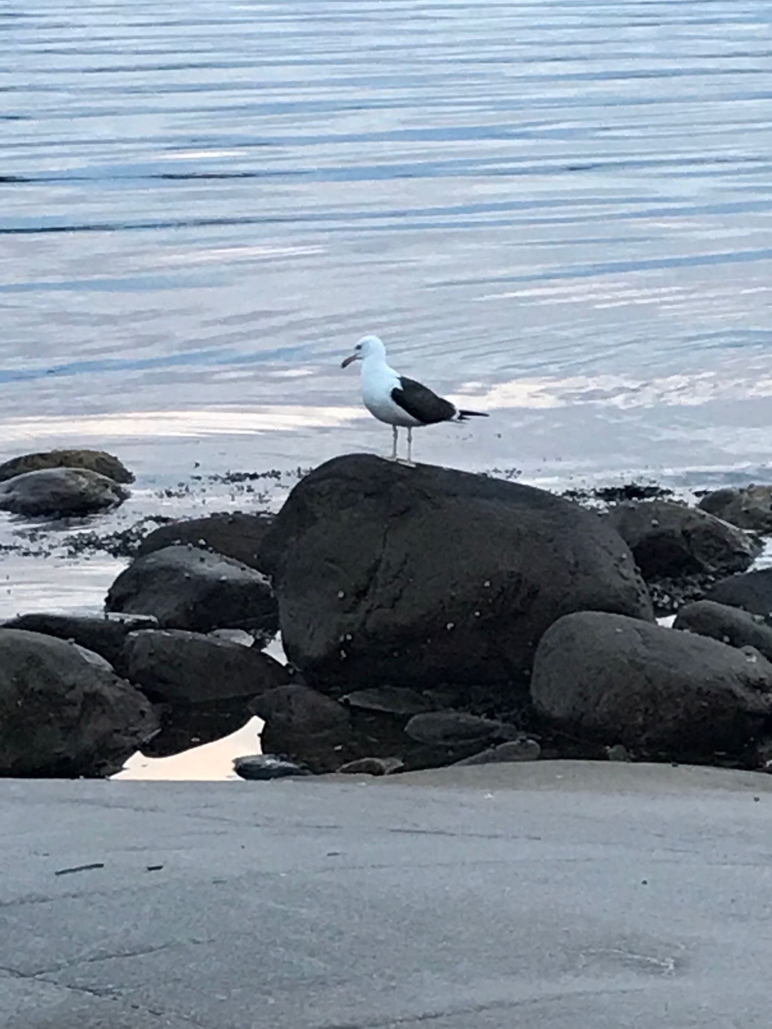 Tillbaka till naturen