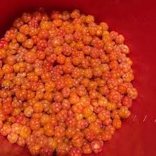 FJÄLLKÄLLANS KÖK från naturens skaferi