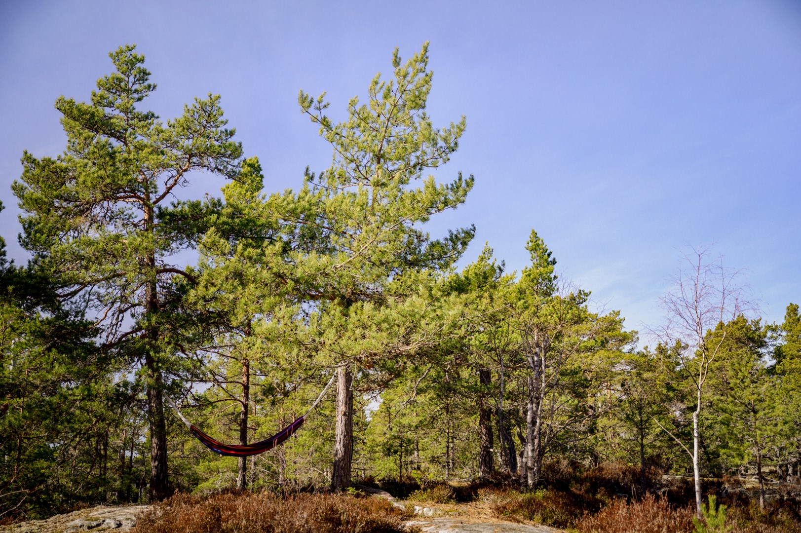 Bostadsbild från Barnviksslingan 32, Såld i Stavsnäs, Värmdö