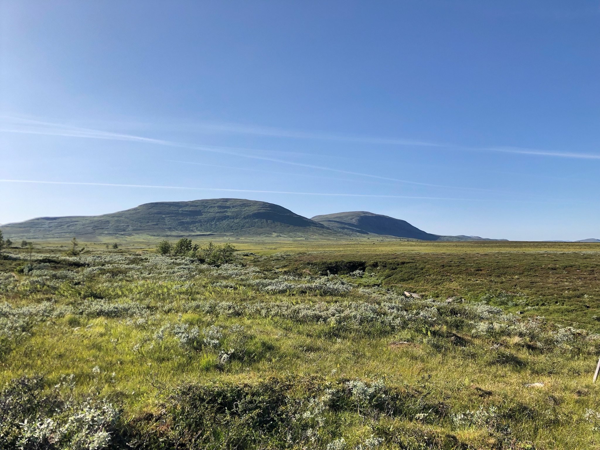 Mest stämningsfulla plats för naturälskaren