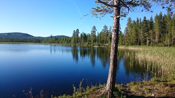 wgna fiskesjö