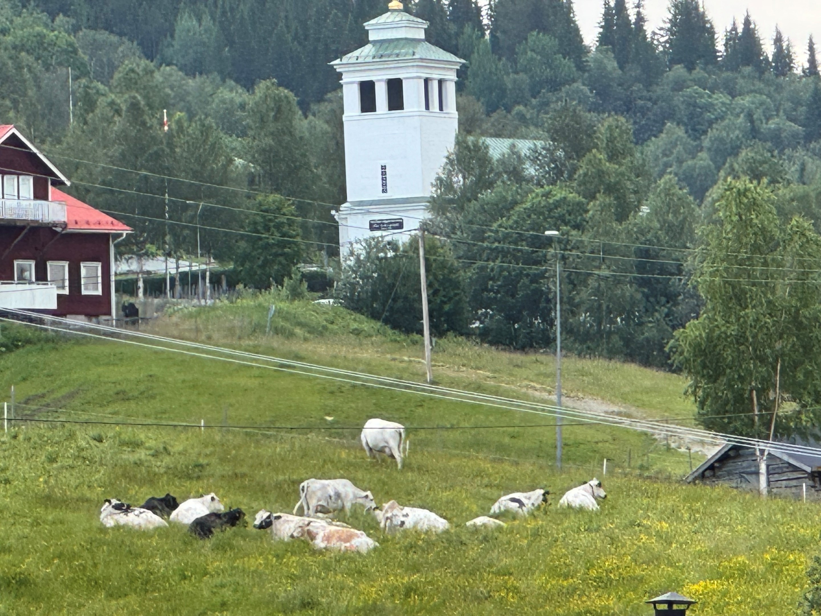 XB Levande Fjällby