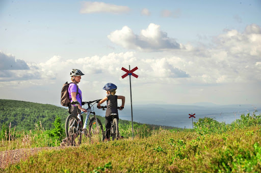 Fjällcykling