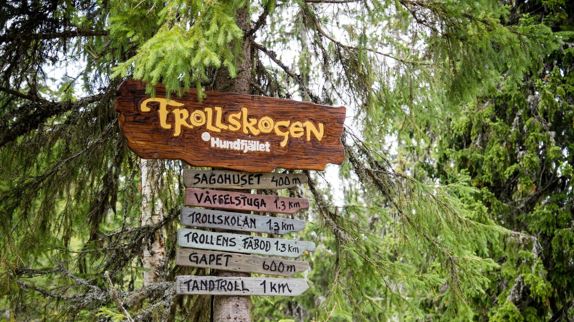 Trollskogen