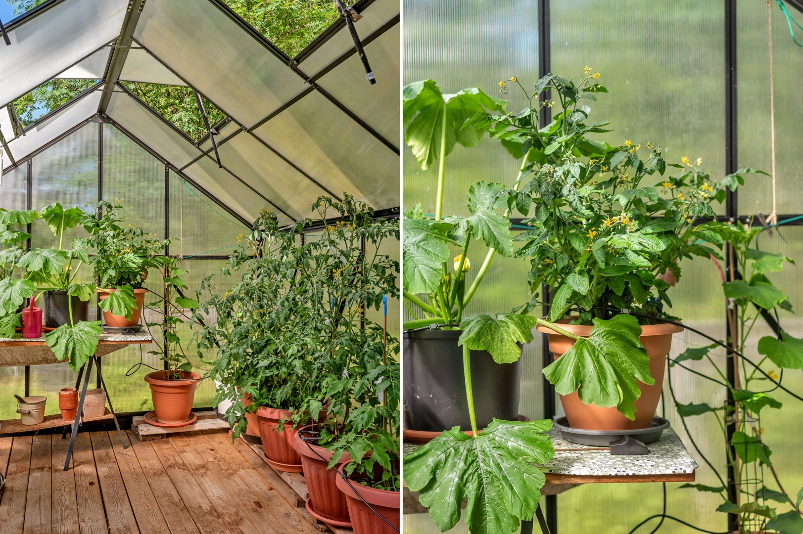 Bostadsbild från Långängsvägen 5, Såld i Borgarbo, Uppsala