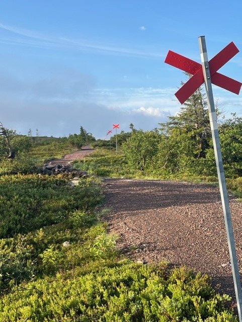 EliHemfjällsbyn 14 B På fjället