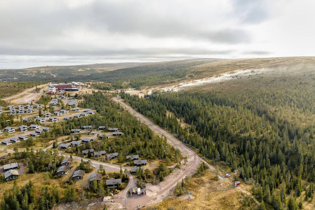 Skogsfåglarna. New York Times hyllar Sälen: "Som en saga"