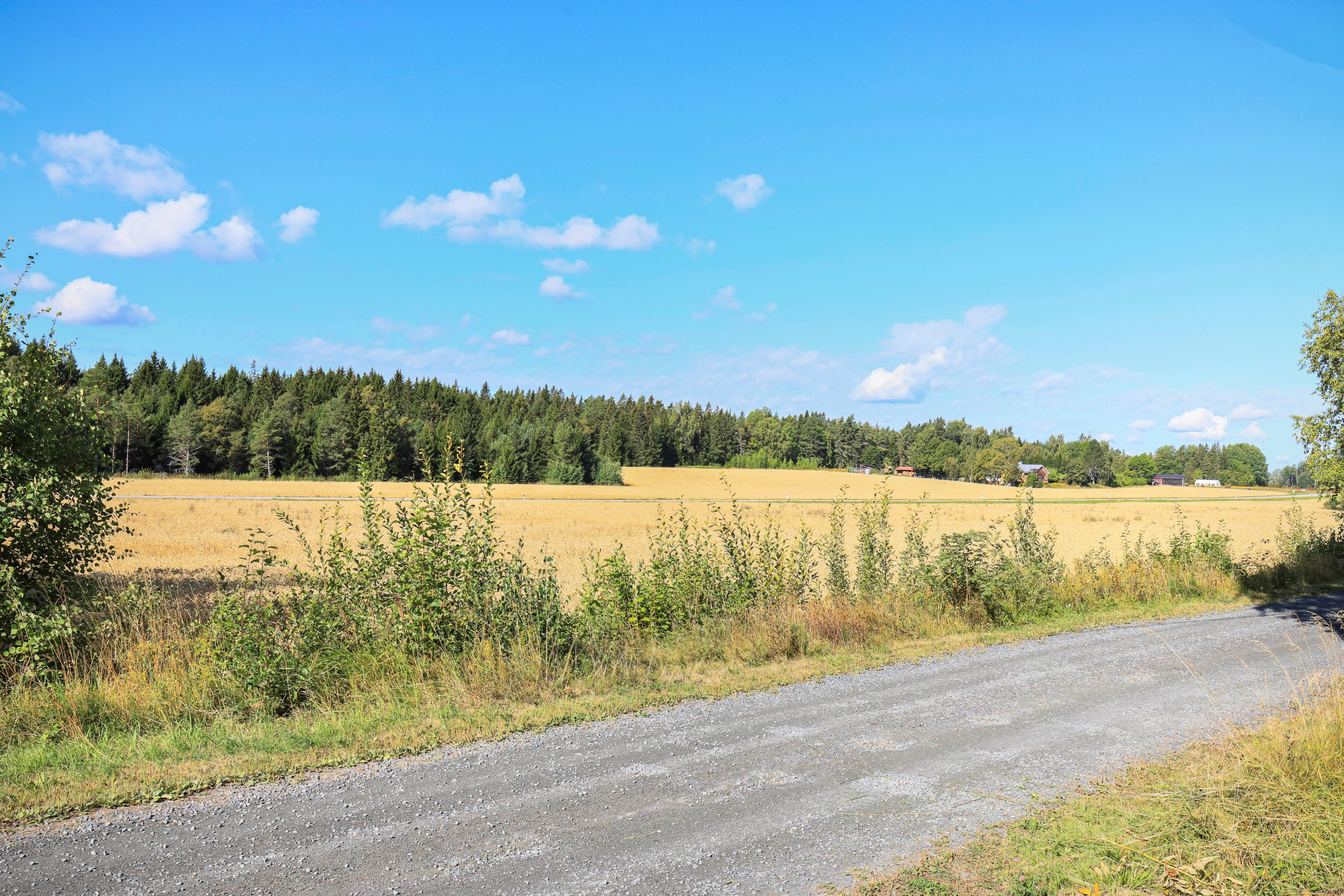 Snesslinge 169 – bild 3