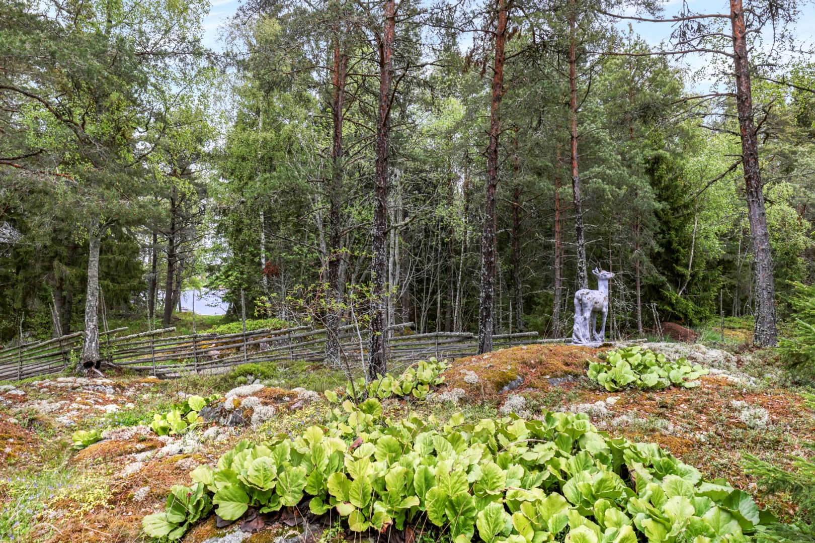 Bostadsbild från Skatvägen 26, Kommande i Stenskär, Östhammar