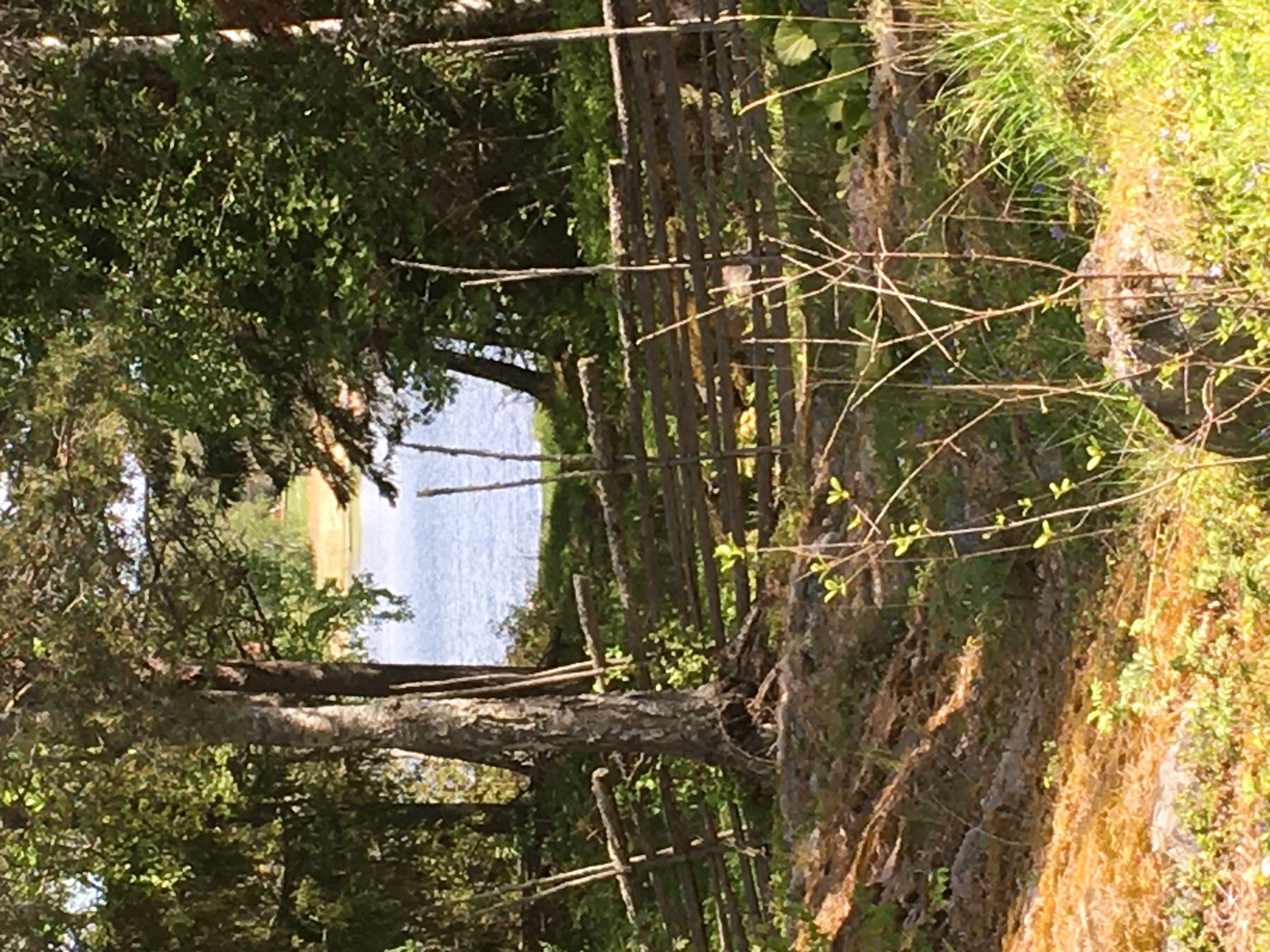 Bostadsbild från Skatvägen 26, Kommande i Stenskär, Östhammar