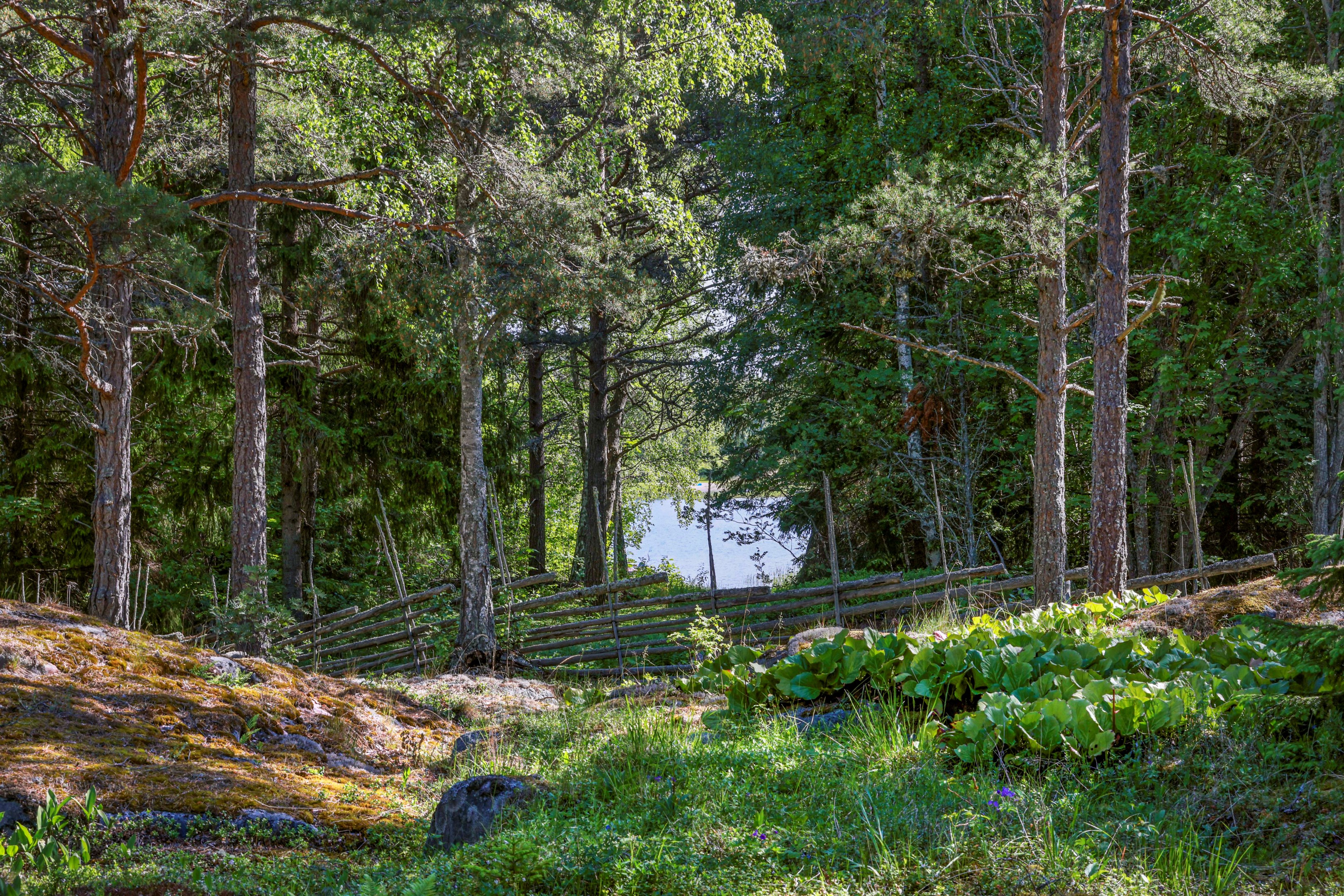 Bostadsbild från Skatvägen 26, Kommande i Stenskär, Östhammar