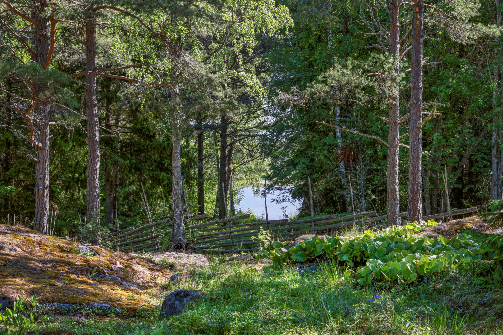 Bostadsbild från Skatvägen 26, Kommande i Stenskär, Östhammar